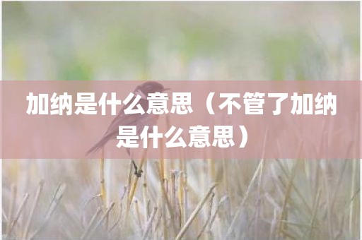 加纳是什么意思（不管了加纳是什么意思）