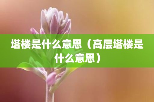 塔楼是什么意思（高层塔楼是什么意思）