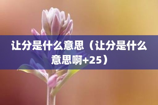 让分是什么意思（让分是什么意思啊+25）
