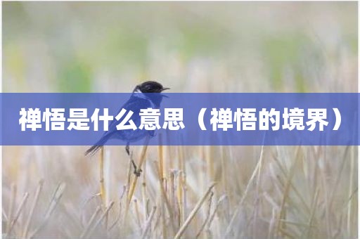 禅悟是什么意思（禅悟的境界）
