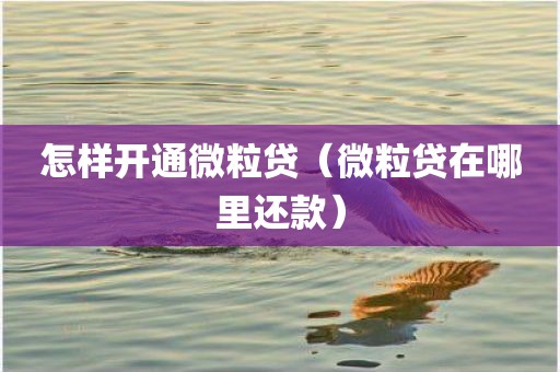 怎样开通微粒贷（微粒贷在哪里还款）