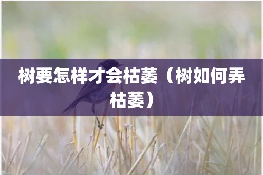树要怎样才会枯萎（树如何弄枯萎）