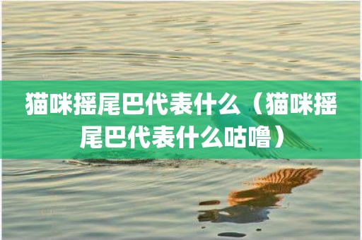 猫咪摇尾巴代表什么（猫咪摇尾巴代表什么咕噜）