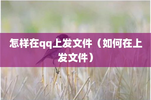 怎样在qq上发文件（如何在上发文件）