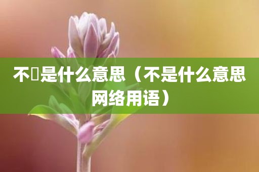 不忈是什么意思（不是什么意思网络用语）