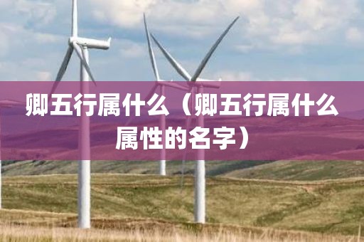 卿五行属什么(卿五行属什么属性的名字)