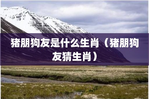 猪朋狗友是什么生肖（猪朋狗友猜生肖）