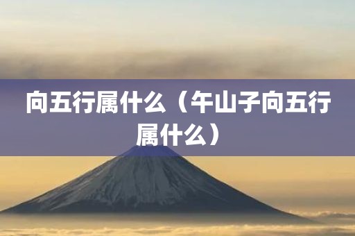 向五行属什么（午山子向五行属什么）