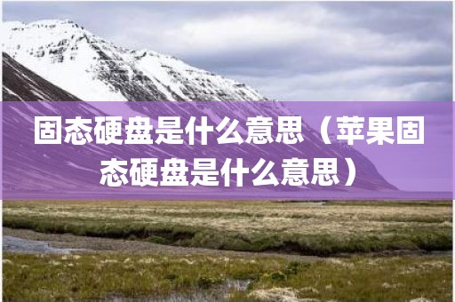 固态硬盘是什么意思（苹果固态硬盘是什么意思）