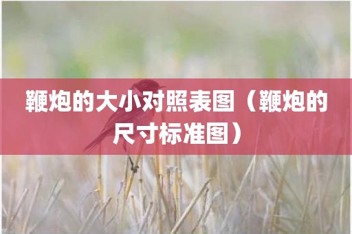 鞭炮的大小对照表图（鞭炮的尺寸标准图）