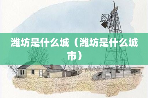 潍坊是什么城(潍坊是什么城市)
