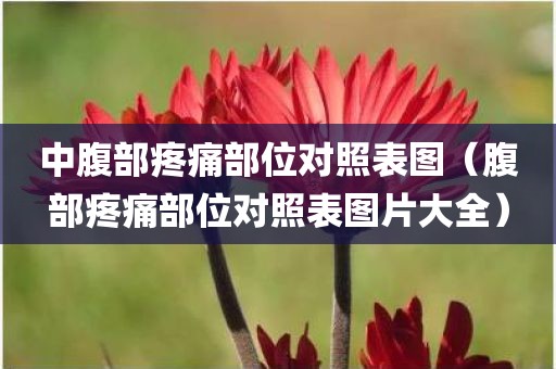 中腹部疼痛部位对照表图（腹部疼痛部位对照表图片大全）