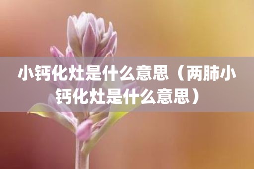 小钙化灶是什么意思（两肺小钙化灶是什么意思）