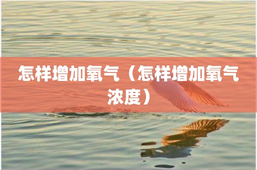 怎样增加氧气（怎样增加氧气浓度）