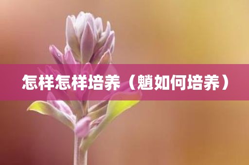 怎样怎样培养（魈如何培养）