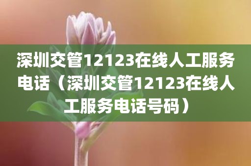 深圳交管12123在线人工服务电话（深圳交管12123在线人工服务电话号码）