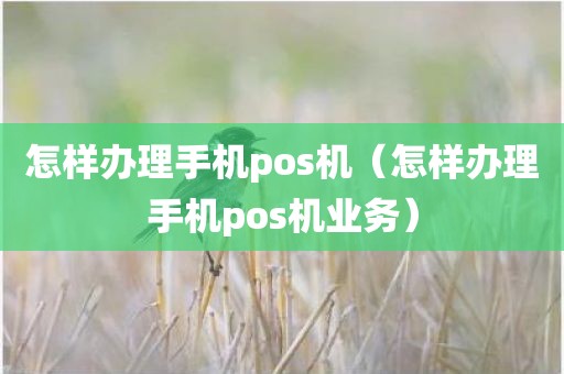 怎样办理手机pos机（怎样办理手机pos机业务）