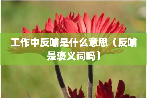 工作中反哺是什么意思（反哺是褒义词吗）