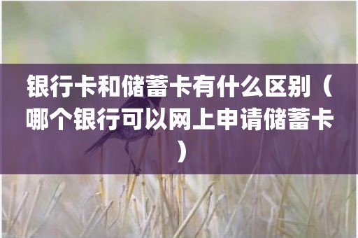银行卡和储蓄卡有什么区别（哪个银行可以网上申请储蓄卡）