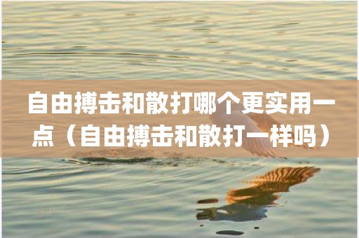 自由搏击和散打哪个更实用一点（自由搏击和散打一样吗）