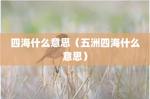 四海什么意思（五洲四海什么意思）