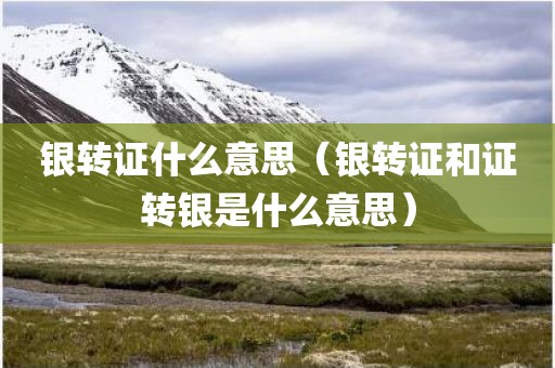 银转证什么意思（银转证和证转银是什么意思）