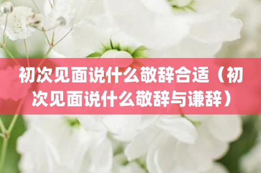 初次见面说什么敬辞合适(初次见面说什么敬辞与谦辞)