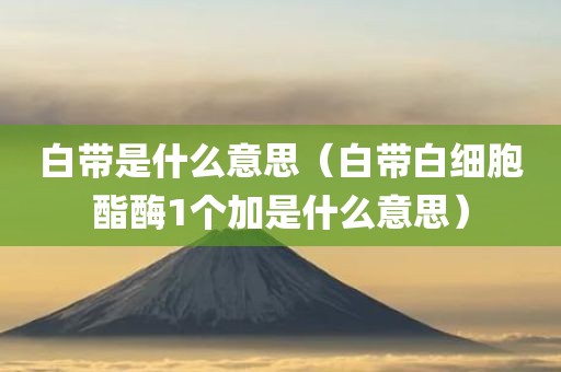 白带是什么意思(白带白细胞酯酶1个加是什么意思)