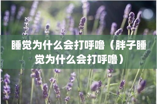 睡觉为什么会打呼噜（胖子睡觉为什么会打呼噜）
