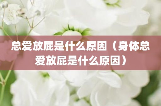 总爱放屁是什么原因（身体总爱放屁是什么原因）
