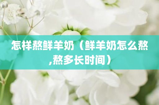 怎样熬鲜羊奶（鲜羊奶怎么熬,熬多长时间）