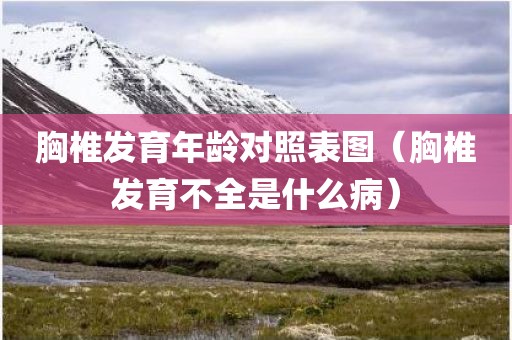 胸椎发育年龄对照表图（胸椎发育不全是什么病）