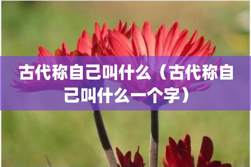 古代称自己叫什么（古代称自己叫什么一个字）