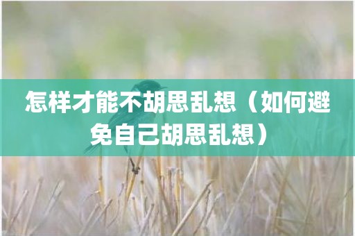 怎样才能不胡思乱想（如何避免自己胡思乱想）