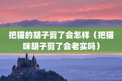 把猫的胡子剪了会怎样（把猫咪胡子剪了会老实吗）