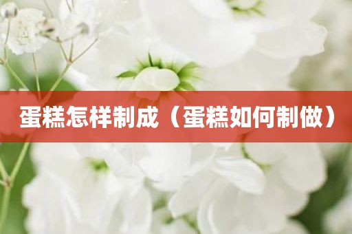 蛋糕怎样制成（蛋糕如何制做）