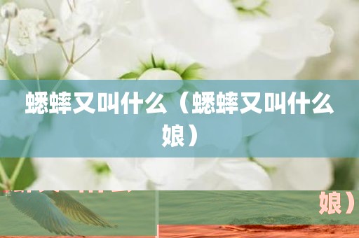 蟋蟀又叫什么（蟋蟀又叫什么娘）