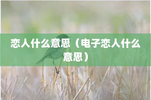 恋人什么意思（电子恋人什么意思）