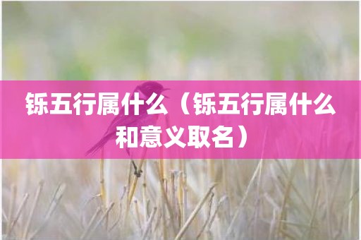 铄五行属什么（铄五行属什么和意义取名）