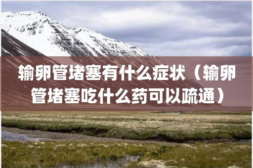 输卵管堵塞有什么症状（输卵管堵塞吃什么药可以疏通）
