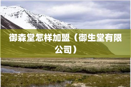 御森堂怎样加盟（御生堂有限公司）