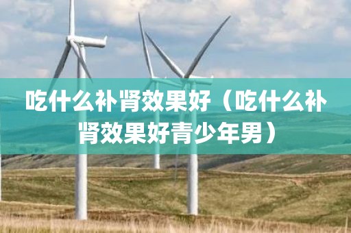 吃什么补肾效果好（吃什么补肾效果好青少年男）