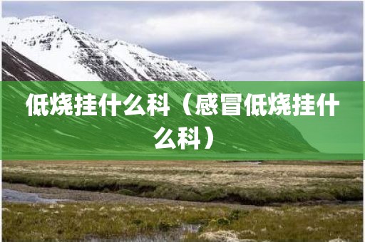 低烧挂什么科（感冒低烧挂什么科）