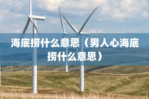 海底捞什么意思（男人心海底捞什么意思）