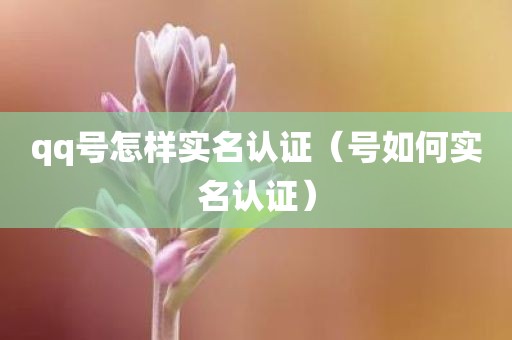 qq号怎样实名认证（号如何实名认证）