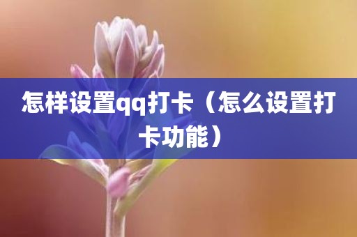 怎样设置qq打卡（怎么设置打卡功能）