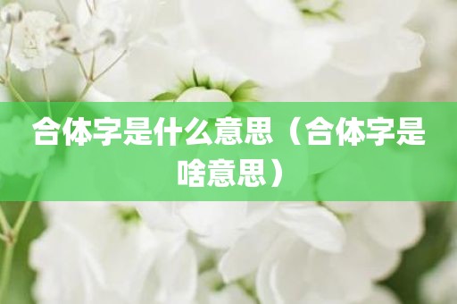 合体字是什么意思（合体字是啥意思）