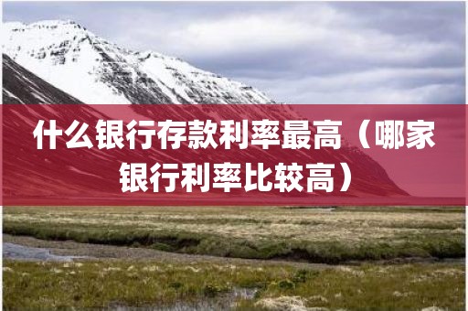 什么银行存款利率最高(哪家银行利率比较高)