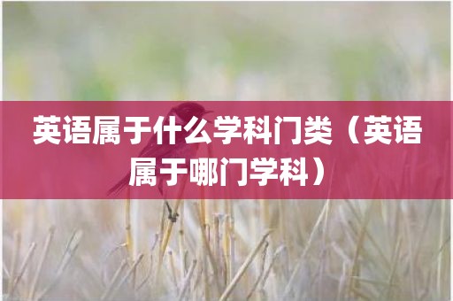 英语属于什么学科门类（英语属于哪门学科）
