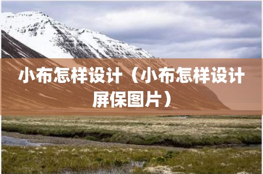 小布怎样设计（小布怎样设计屏保图片）